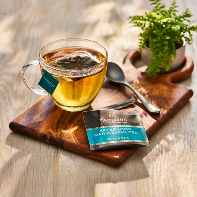 černý čaj AFTERNOON DARJEELING 50 sáčků / 125g od Taylors of Harrogate (sáček)
